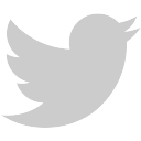 Twitter icon in grey