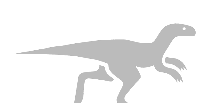 Scholarship Raptor