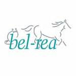 Bel-Rea Institute of Animal Technology logo