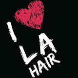 Lowell Academy Hairstyling Institute logo