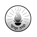 Talmudical Institute of Upstate New York logo