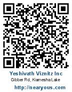 Yeshivath Viznitz logo