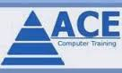 Ace Institute of Technology logo