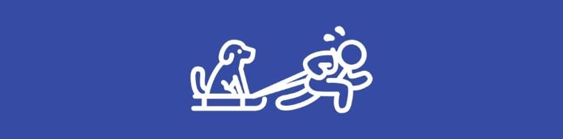 Person pulling a dog on the sled.