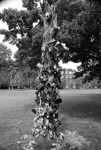 A black and white picture of shoes hanging on a tree.