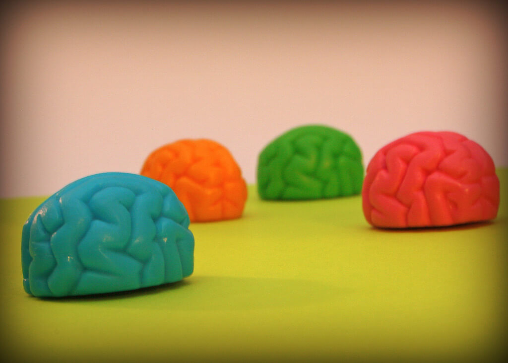 Brain stress balls in different colors.