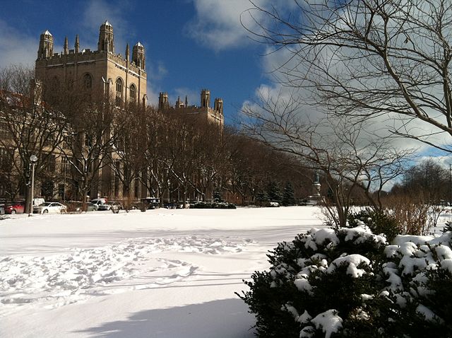 Harper Memorial Library of the University of Chicago in the background.