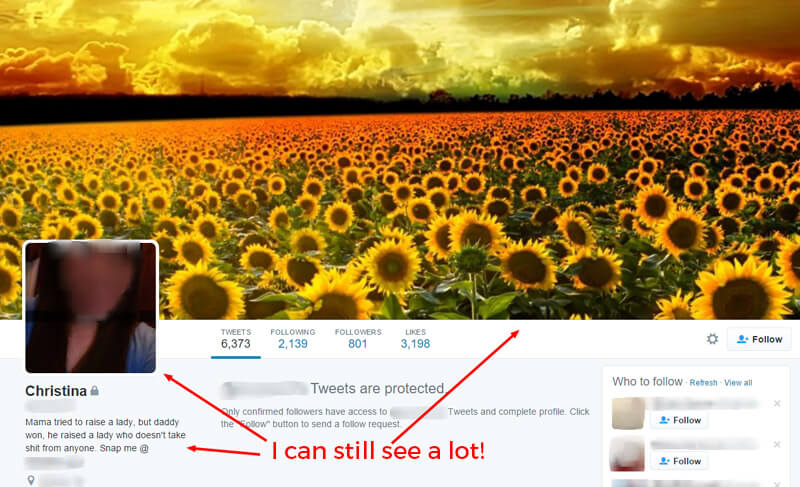 Twitter screenshot with arrow pointing to blurred profile photo, bio and field of sunflowers cover photo. Overlay text that says "I can still see a lot."
