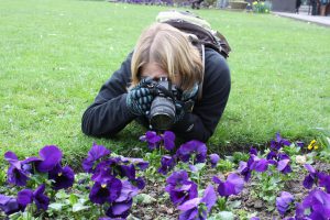 Student taking pictures of violet flowers on the ground.