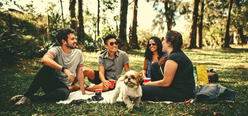 A group of students sitting on a white picnic blanket with a dog in front of them.