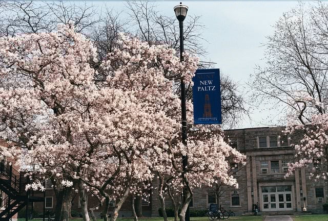 SUNY New Paltz school building behind the pink flower tree.