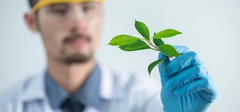A scientist holding a plant in their hand.