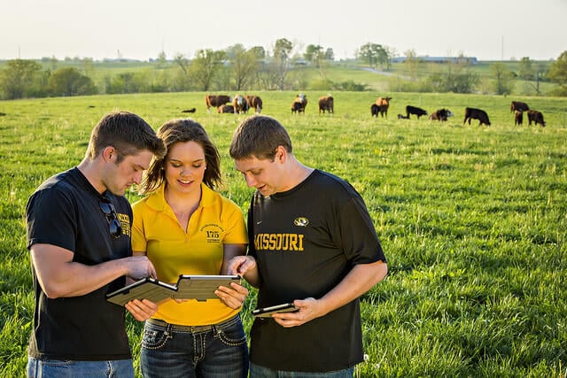 Three students are discussing while holding their tabs on a green field - with cows in the background.