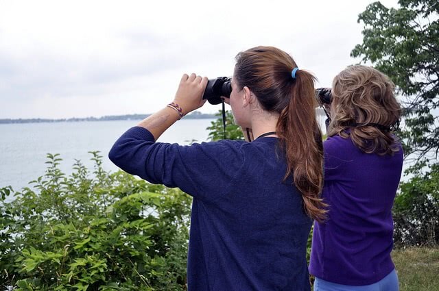 Search for scholarships just like you search for birds with binoculars 