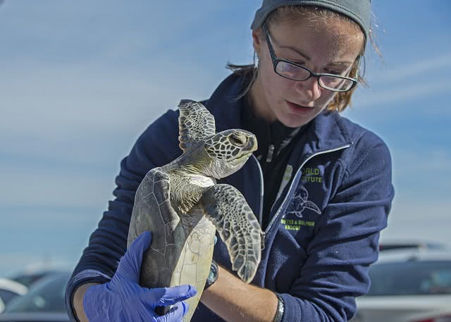 Marine biology is one of the careers biology majors can pursue.