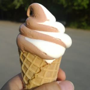 A twist ice cream cone is the best of two flavors, kind of like a hybrid loan
