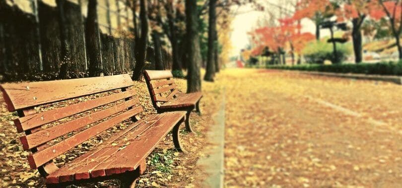 Two benches with autumn leaves covering the ground.