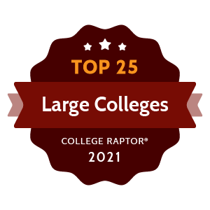 Best large colleges badge